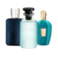 Coffret Niche Prestige - x3 100 ml / EDP